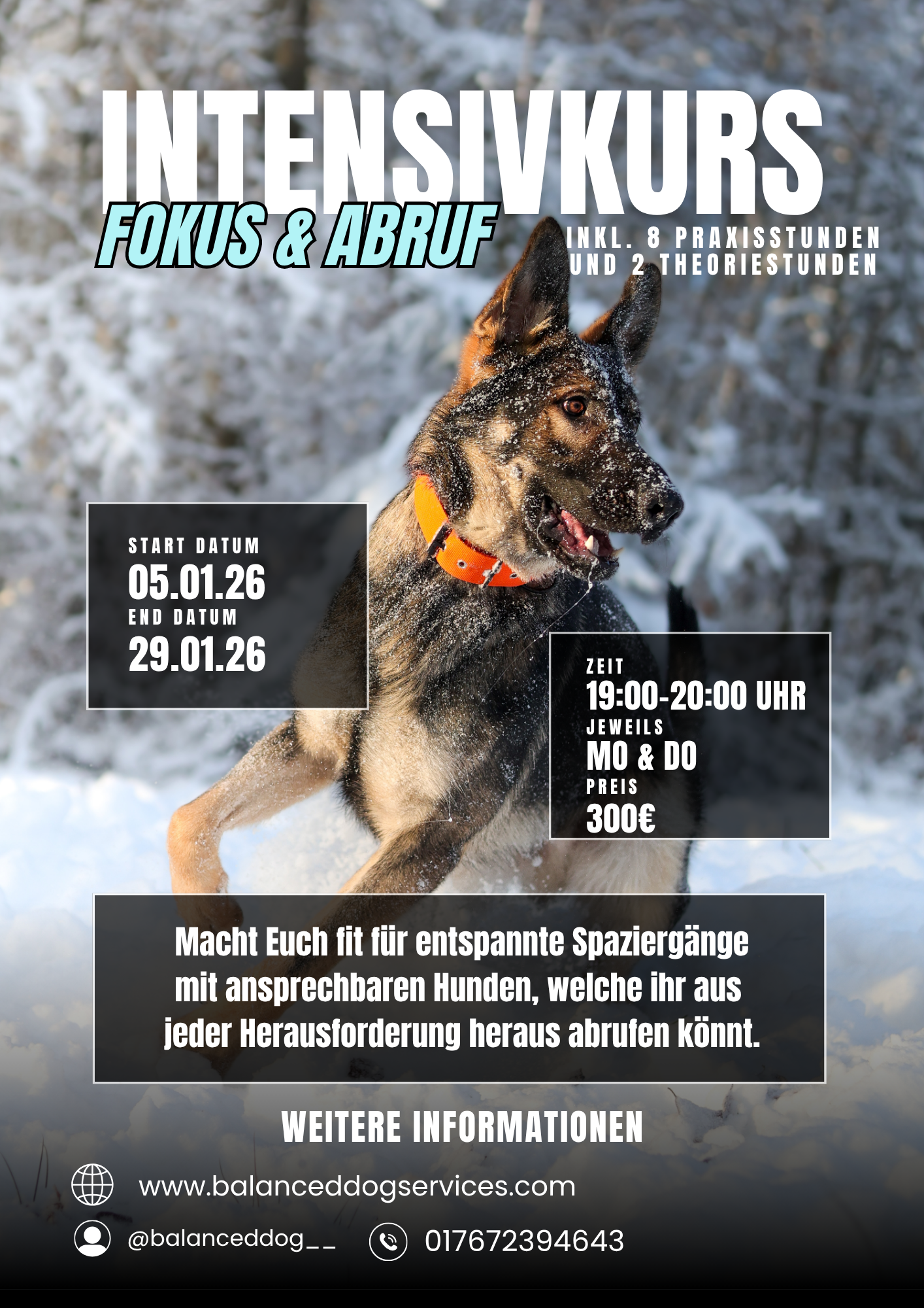 Intensivkurs Fokus & Abruf