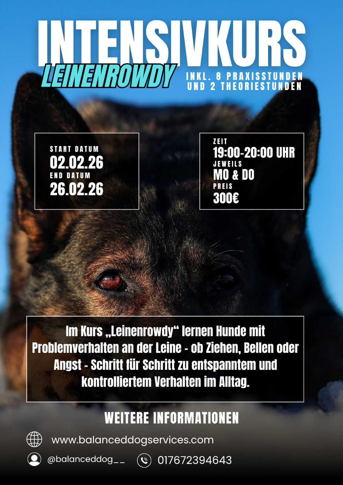 Intensivkurs "Leinenrowdy"