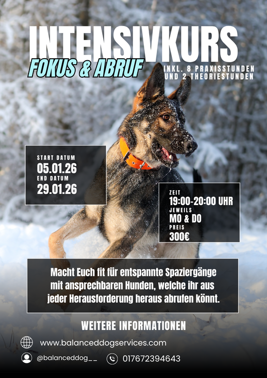 Intensivkurs Fokus & Abruf
